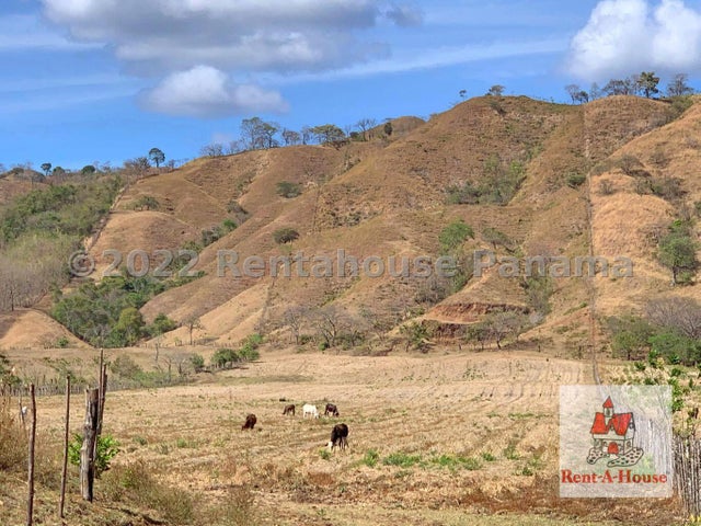 Commercial Property for Sale in Pedasi Los Santos 06065